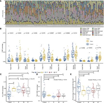 Profiling the peripheral blood T cell receptor repertoires of gastric cancer patients